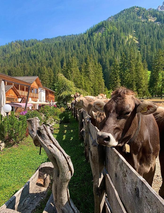 Alpin Natur Hotel Brueckele Braies  Exterior photo