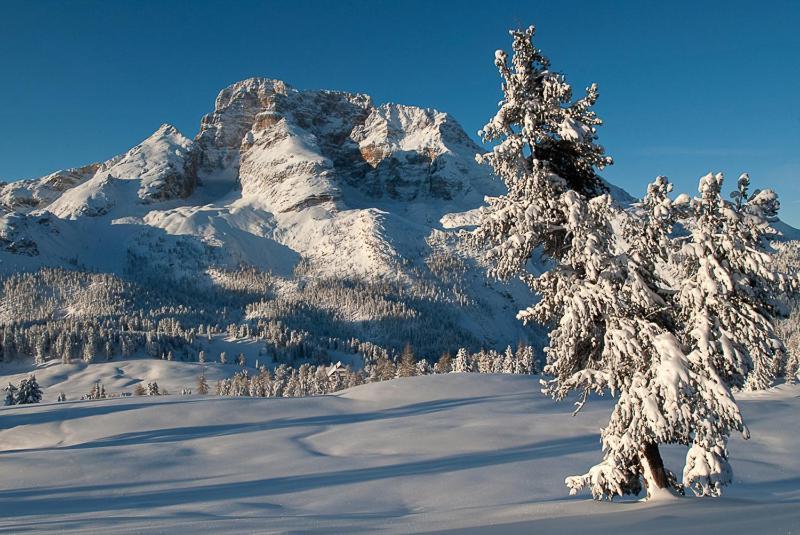 Alpin Natur Hotel Brueckele Braies  Exterior photo